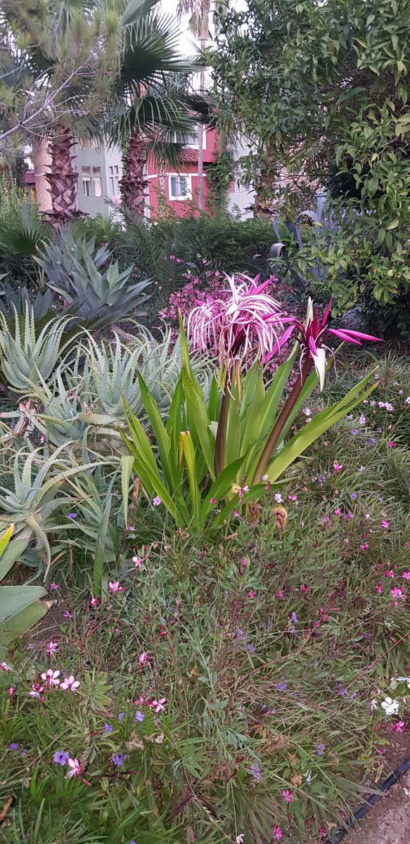 imagini hotel MEGASARAY 2021